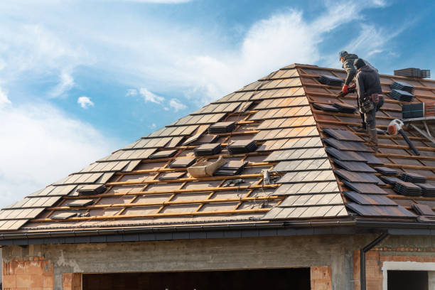 Best Skylight Installation and Repair  in Lake Isabella, CA