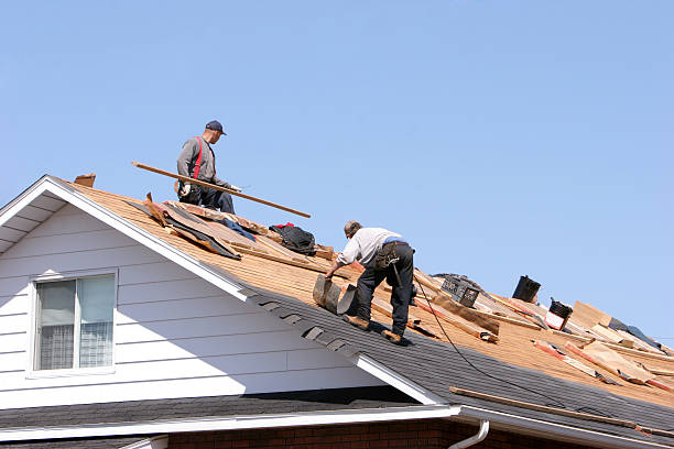 Best Roof Coating and Sealing  in Lake Isabella, CA